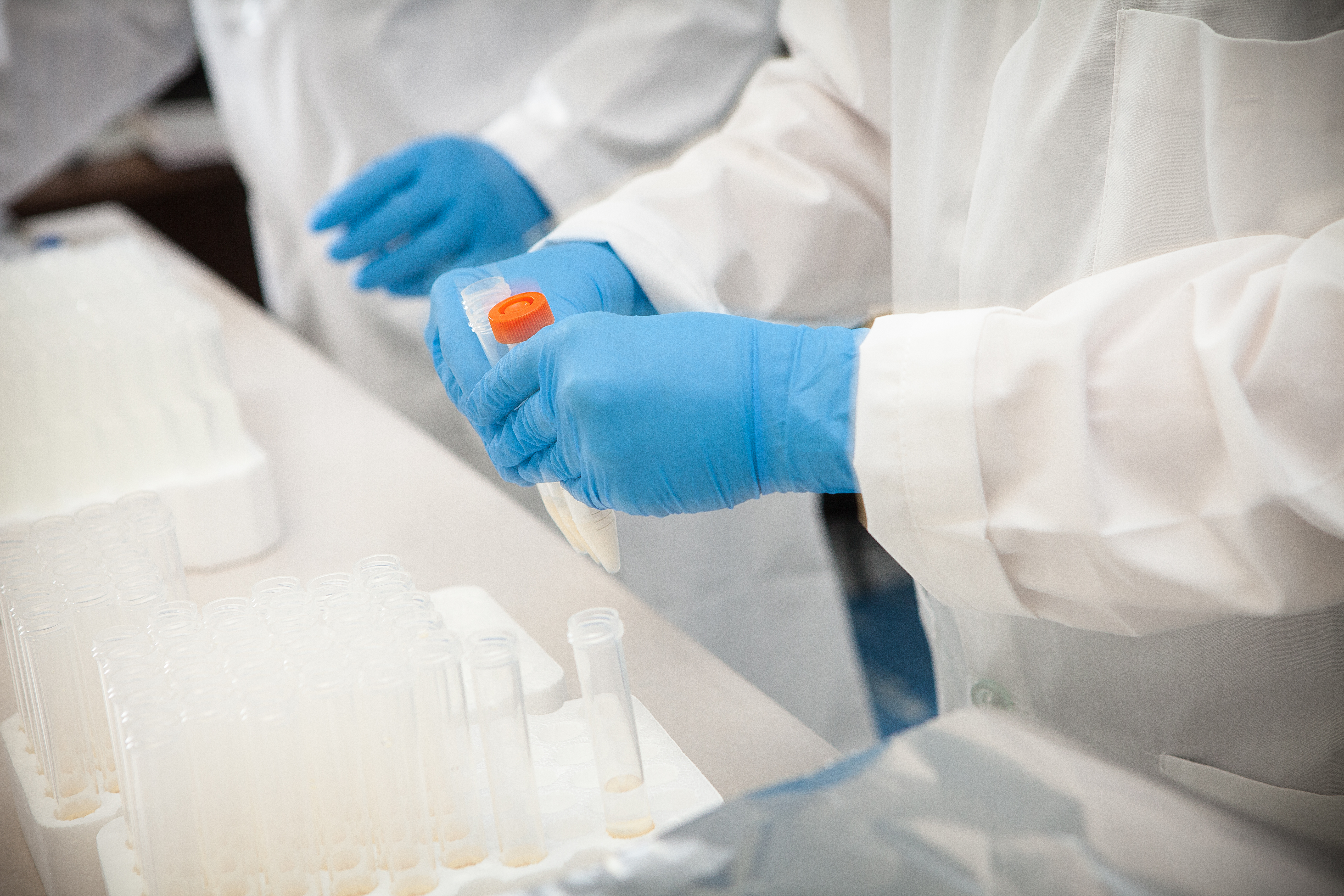 Hands and test tubes.jpg