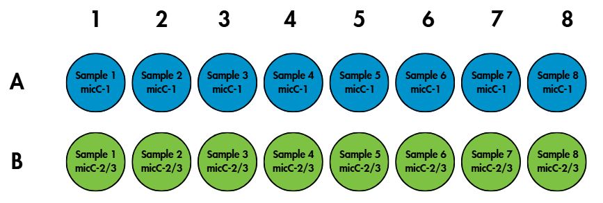 Plate setup.JPG
